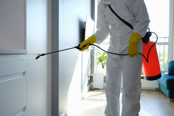 Best Mold Testing and Inspection Services in Oakland Park, FL